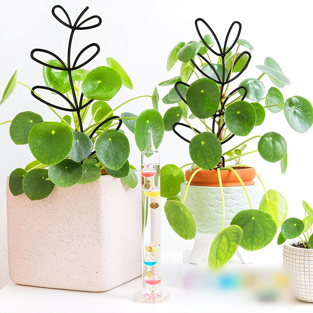 Bonsai Garden Design - 室内装飾用六角形植物フレーム、屋外用鉢、エレガントな庭のアクセント、耐候性デザイン、つる性植物用