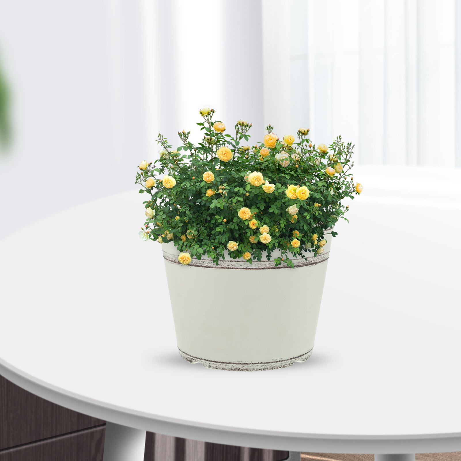 Bonsai Garden Design - 2個入り、レトロ調のプラスチック製プランター。室内の花や屋外の庭、観葉植物、蘭、盆栽、育苗用として。通気性と排水性に優れたデザイン。