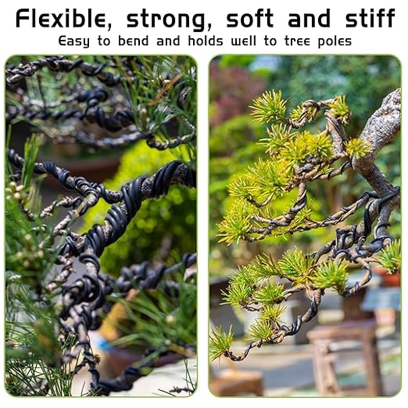 盆栽用アルミ線 1mm 2mm 3mm 10m 30m、柔ら - Bonsai Garden Design のレビューと価格