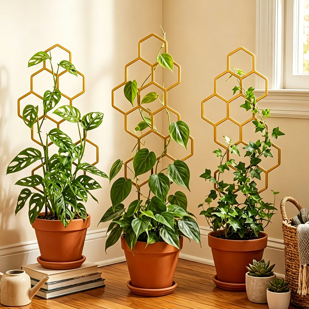 室内装飾用六角形植物フレーム、屋外用鉢、エレガントな庭のアク - Bonsai Garden Design のレビューと価格
