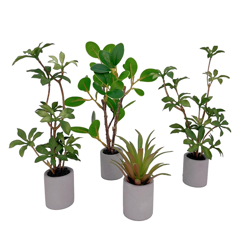 ドールハウスミニチュア鉢植え、緑の葉のポット、盆栽、家の庭の - Bonsai Gardenia のレビューと価格