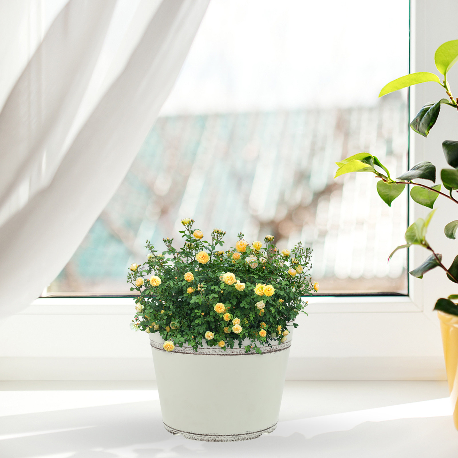 2個入り、レトロ調のプラスチック製プランター。室内の花や屋外 - Bonsai Garden Design のレビューと価格