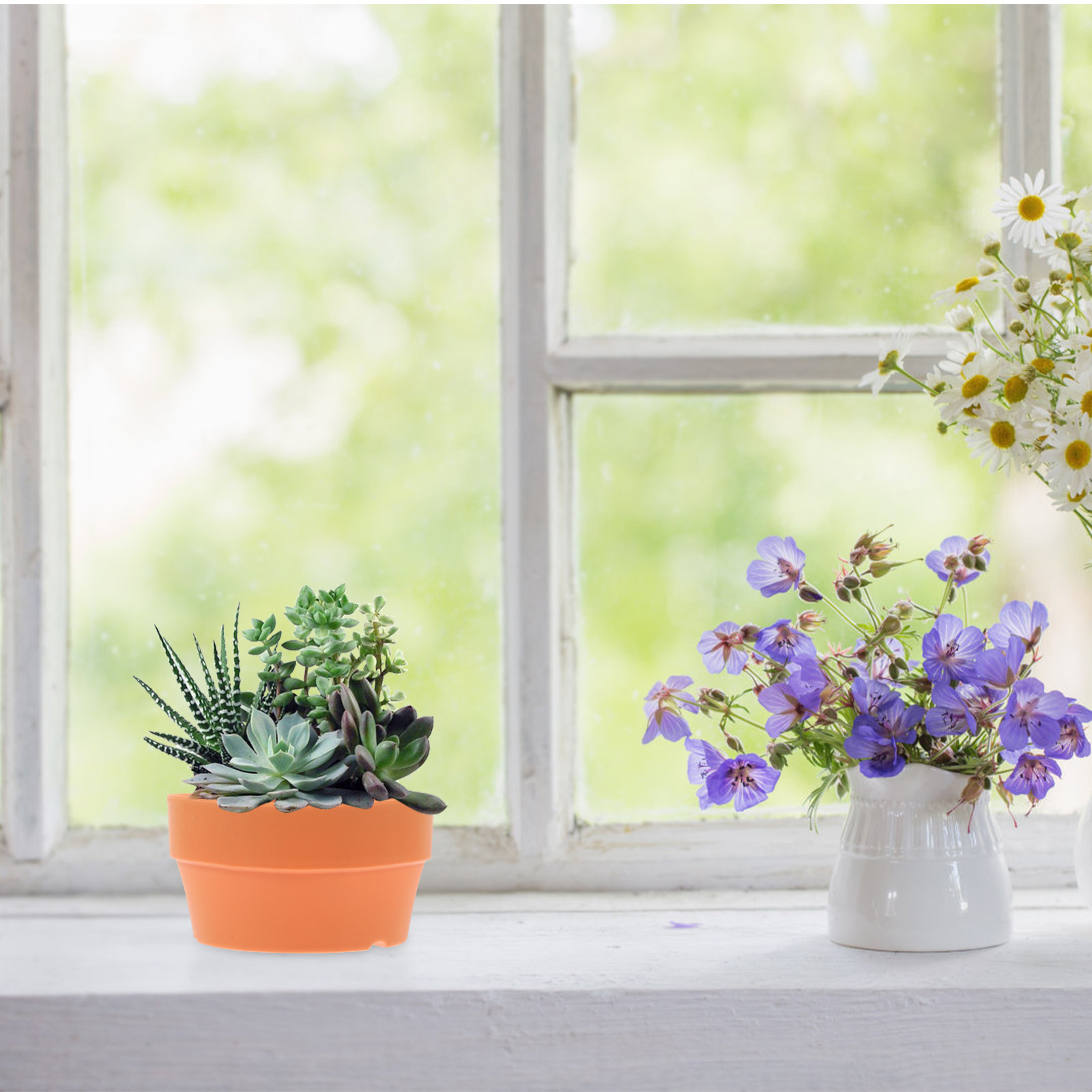 高級感のあるプラスチック製の花鉢6個セット。陶器風のデザイン - Bonsai Garden Design のレビューと価格