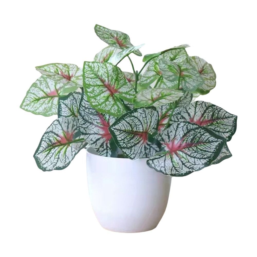 ミニフェイク鉢植え花盆栽テーブルデコレーション鉢植え飾り偽物 - Bonsai Gardenia のレビューと価格
