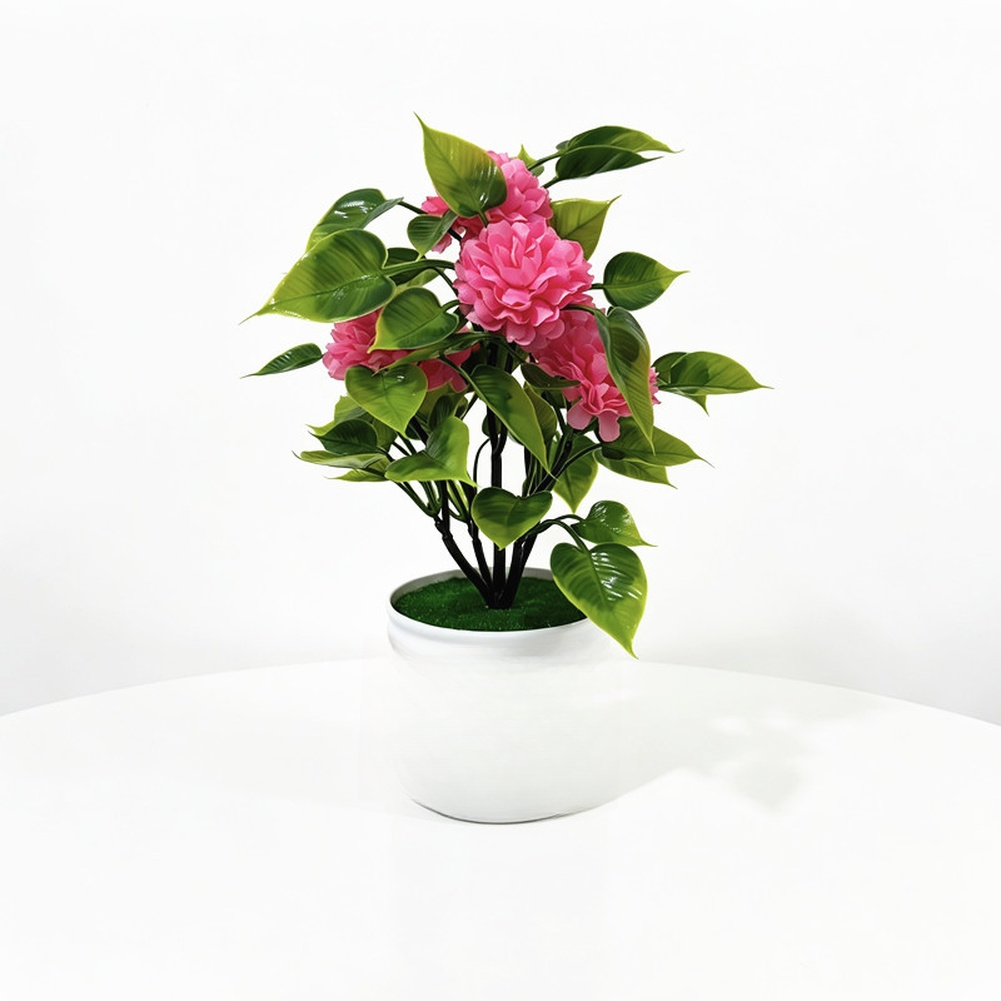 家庭用、庭用、テーブルや棚に飾るのに最適な、丸い鉢に入った人 - Bonsai Garden Design のレビューと価格