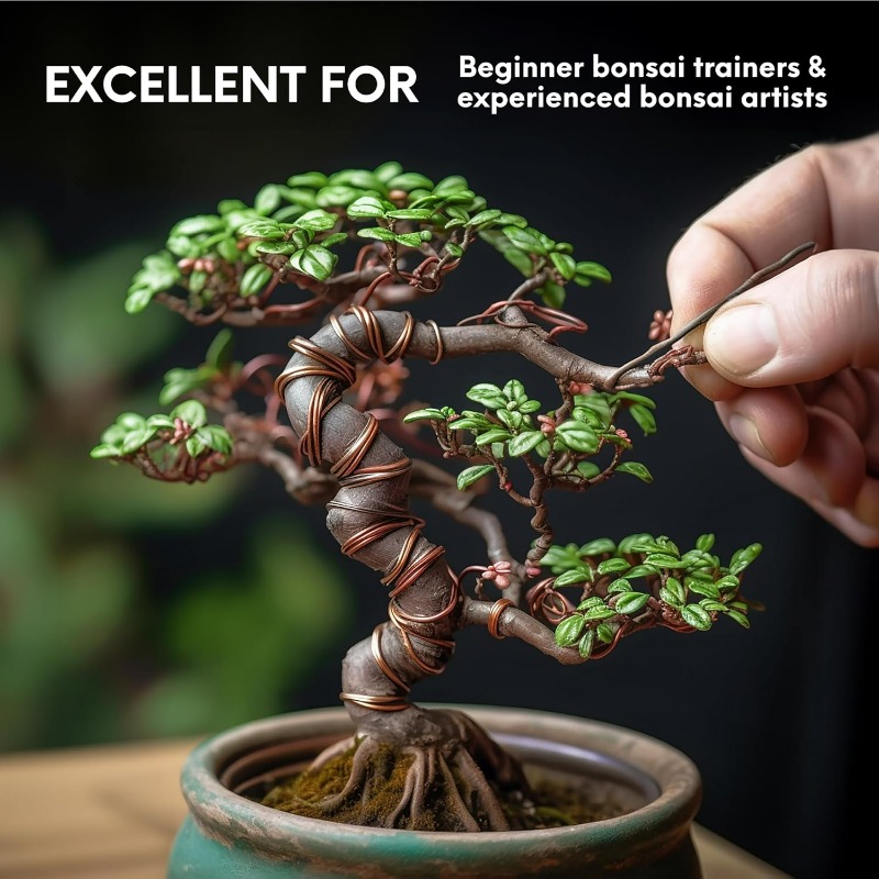 5 メートル盆栽トレーニングワイヤーセット庭の植物サポート用 - Bonsai Garden Design のレビューと価格